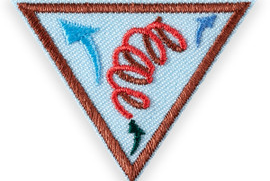 Online Girl Scouts: Leap Bots by Discover Science Center