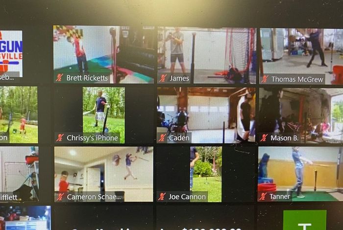Zoom Baseball Training  - 4 Live Classes by Top Gun Batting Cages