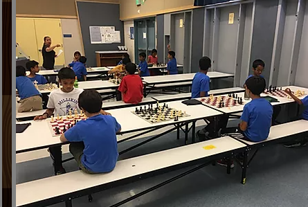 Private Chess Lessons by San Jose Chess Club