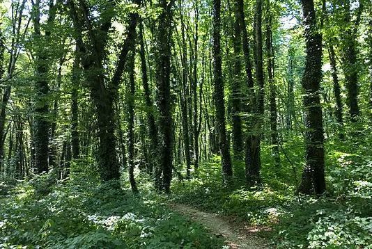 SUMMER CAMP: NATURE SCIENCE by Discover Science Center in Palo Alto, CA