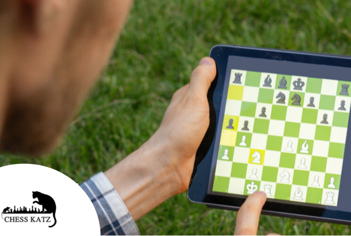 Intro to Chess by ActivityHero Live
