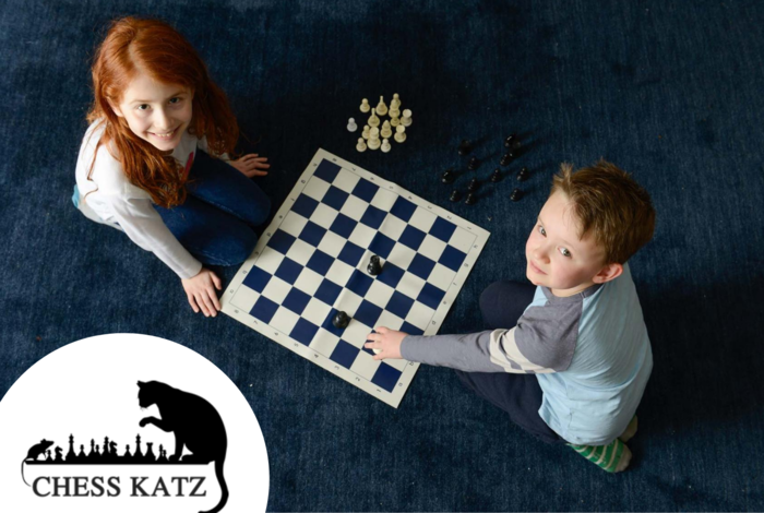 Intro to Chess by ActivityHero Live