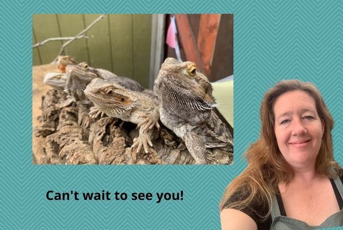 Animal Club- Meet LIVE Bearded Dragons! by Little Explorers Petting Zoo
