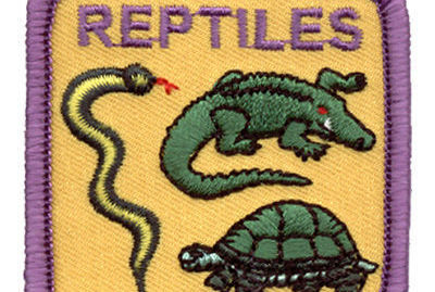 Online Girl Scouts: Reptile Science (fun patch) by Discover Science Center