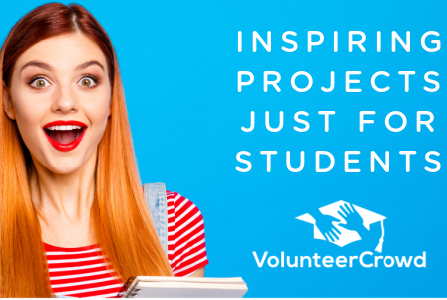 Impact Member Program by VolunteerCrowd