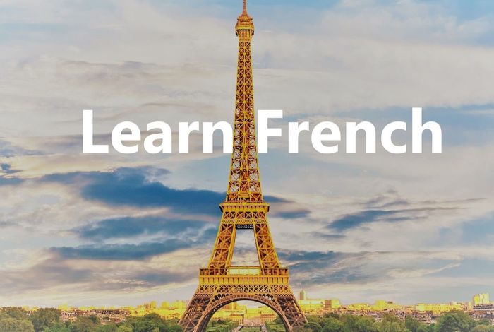 Online 1:1 Private French Class by Lingo Rainbow Academy