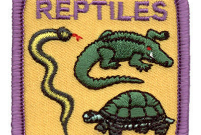 Girl Scout Workshop: Reptile Science by Discover Science Center in Alpharetta, GA