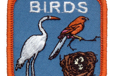 Online Girl Scouts: Science of Birds by Discover Science Center