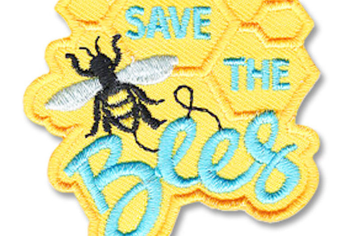 Online Girl Scouts: Science of Bees by Discover Science Center