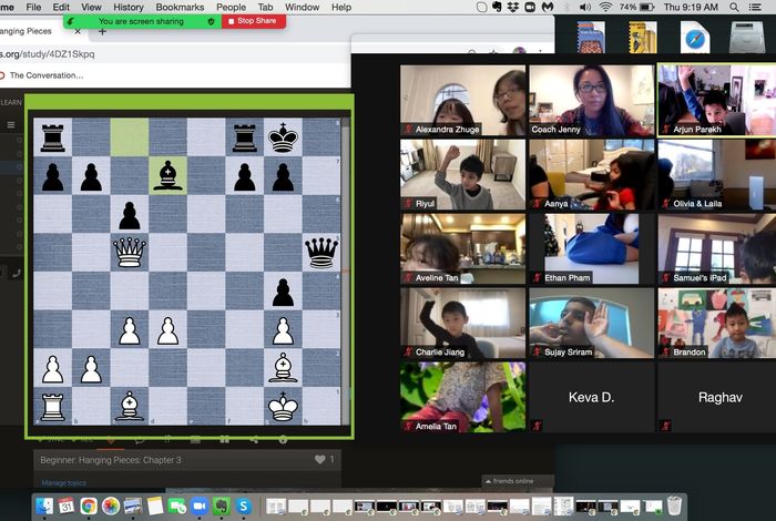 Online Chess Courses & Camps by Bay Area Chess