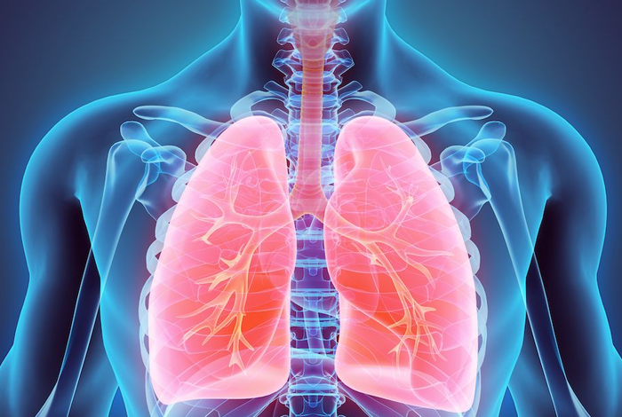 STEM LAB: RESPIRATORY SYSTEM by Discover Science Center