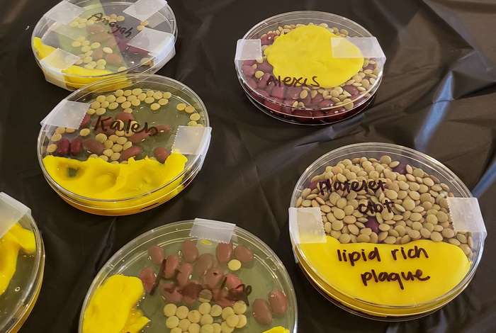 Valentine's Day Science Pop-Up by Hypothesis Haven Science Club