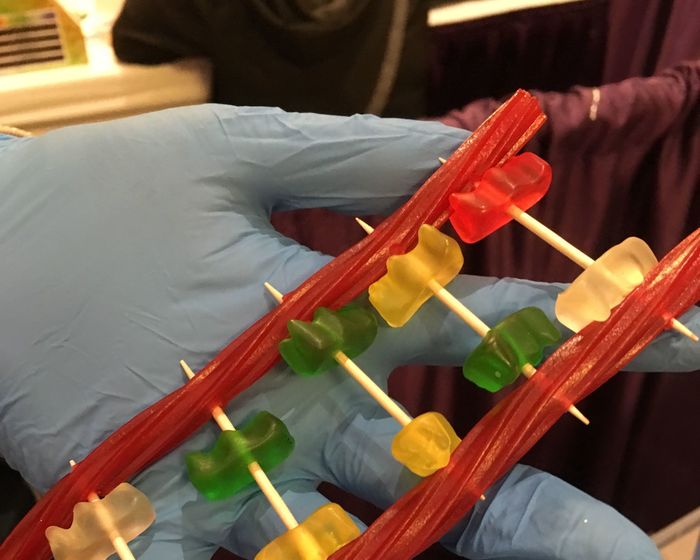 DNA Molecule Model - with candy & toothpicks by Active Art & Science in Palo Alto, CA