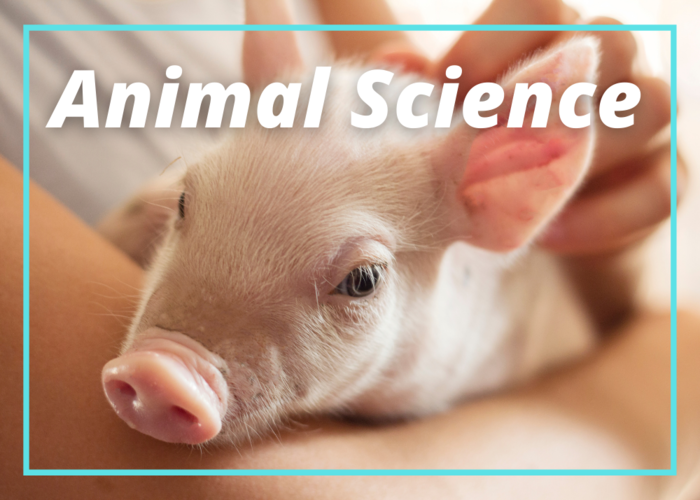 Animal Science By Camp Cosmo The Creative Kids Network Online Class