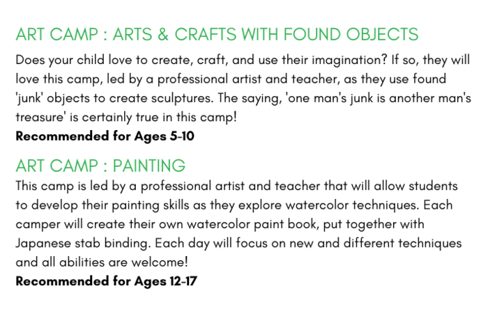 Virtual Summer Camps: Art, STEM, & More! by Ignite Learning Academy