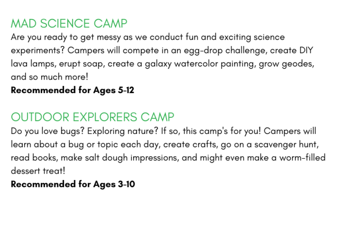 Virtual Summer Camps: Art, STEM, & More! by Ignite Learning Academy