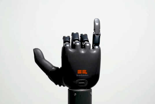 NeuroMaker - Neuroscience + Robotic Hand by Vinci Robotics Academy