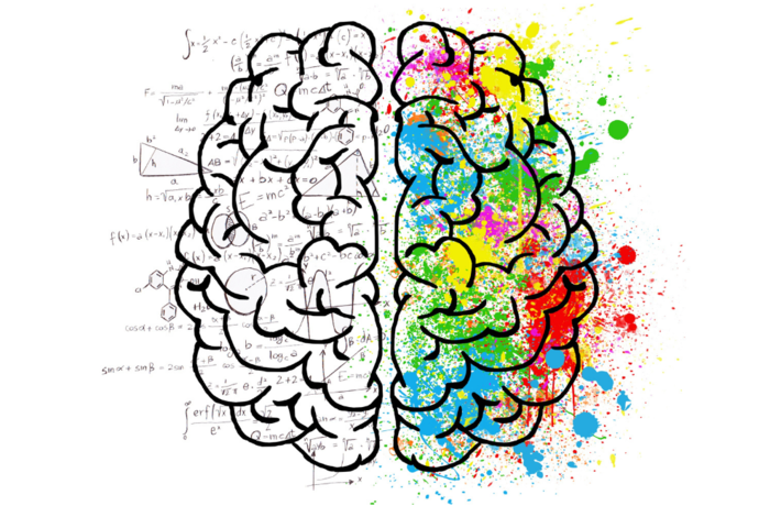 Amazing Brain by Young STEAMers