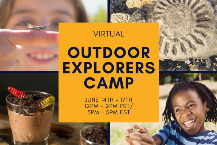 Virtual Summer Camps: Art, STEM, & More! by Ignite Learning Academy