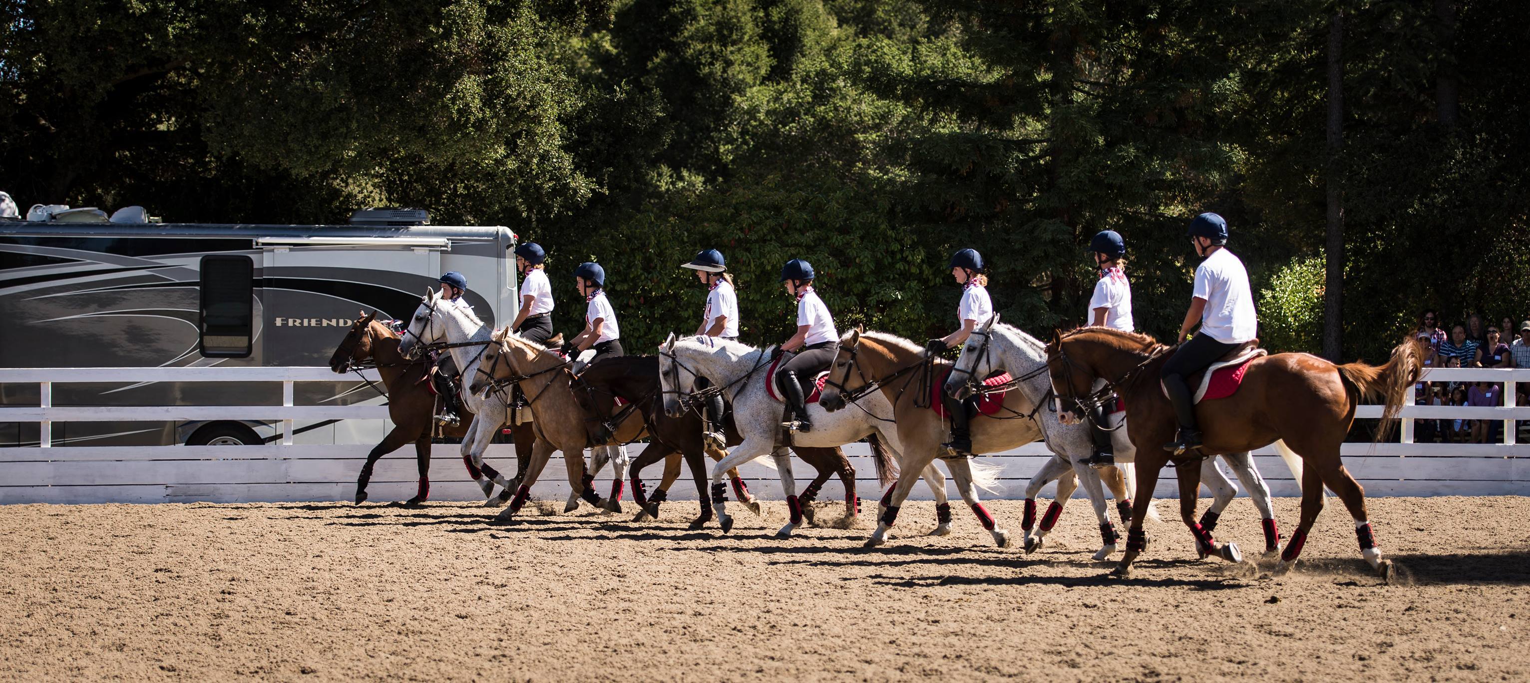 Spring Down Equestrian Center Schedule Reviews Camps Activityhero
