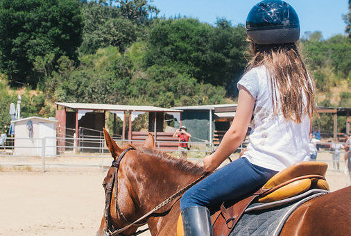 Bear Creek Stables - camps in Los Gatos, CA