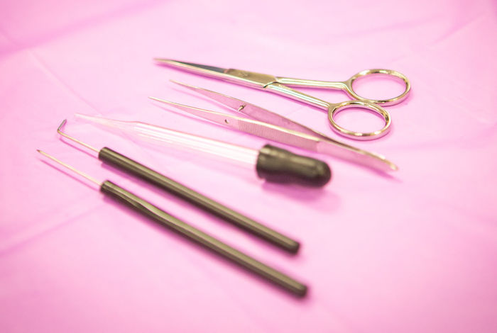 The Academy of 21st Century Learning - camps and classes in Vacaville, CA