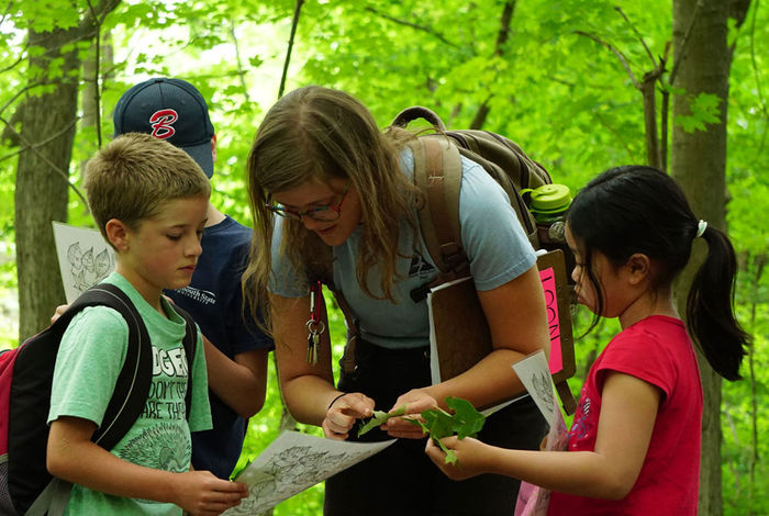 Broad Meadow Brook Day Camp - camps and classes in Worcester, MA