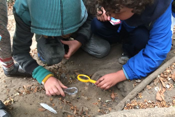Always Learning and Growing - camps and classes in Berkeley, El Cerrito, San Francisco