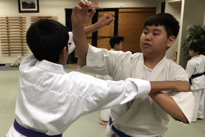 OC Aikido LTD - Kids activities in Orange, CA