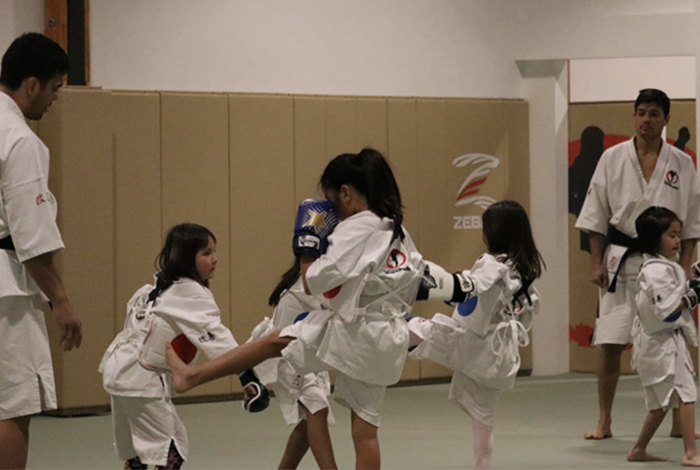 Machida Karate Academy - camps in Lomita, CA