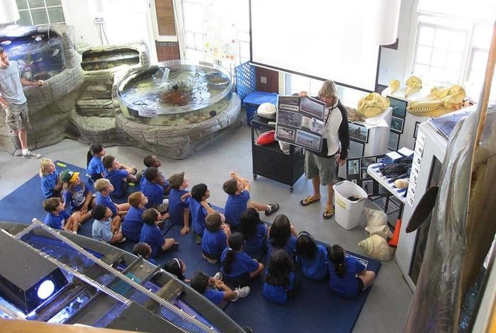 Roundhouse Aquarium Schedule Reviews Activityhero