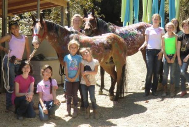 Franklin Canyon Stables - camps and birthday parties in Martinez, CA
