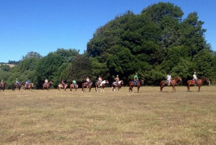 Franklin Canyon Stables - camps and birthday parties in Martinez, CA