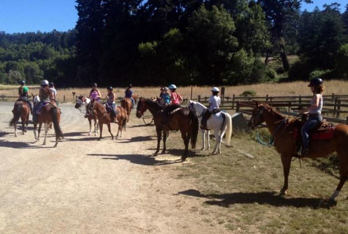 Franklin Canyon Stables - camps and birthday parties in Martinez, CA