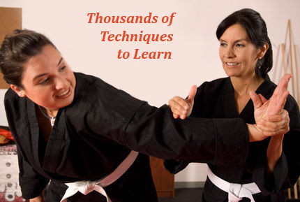 Ancient Arts Kuk Sool Kwan Hapkido HQ - Kids activities in Irvine, CA