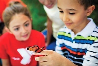 Southwest YMCA - camps and classes in Saratoga, CA