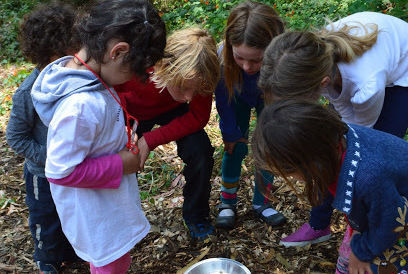 Always Learning and Growing - camps and classes in Berkeley, El Cerrito, San Francisco