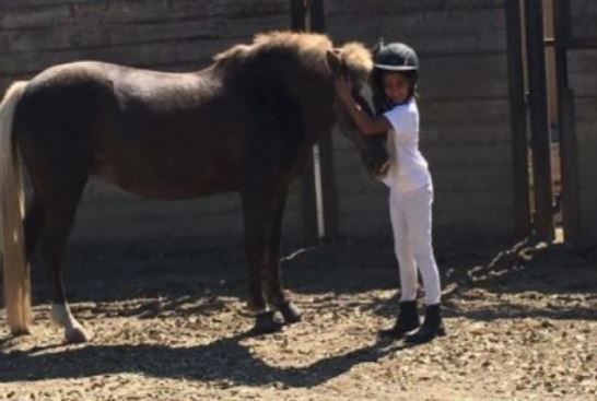 Pagemill Pastures - camps in Palo Alto, CA