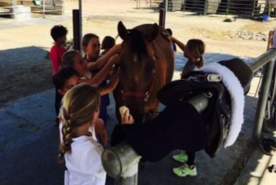Pagemill Pastures - camps in Palo Alto, CA