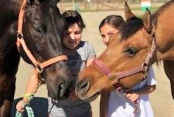 Pagemill Pastures - camps in Palo Alto, CA