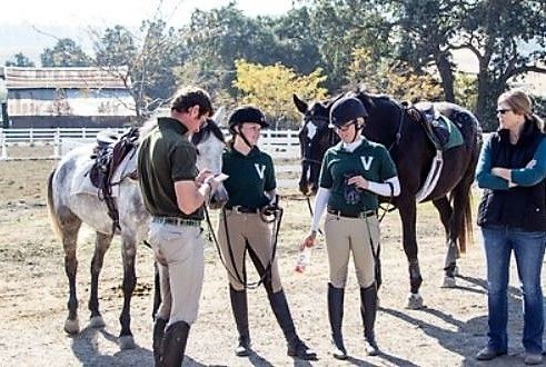 Secret Codes In Roblox Pet Trainer Pet Grooming Club - All The Good Girls Go To Hell Roblox Id Code