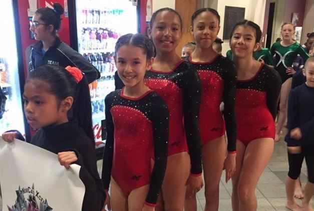 West Coast Olympic Gymnastics Academy - camps in Pleasanton, CA