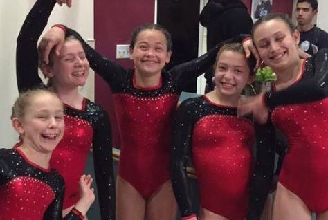 West Coast Olympic Gymnastics Academy - camps in Pleasanton, CA