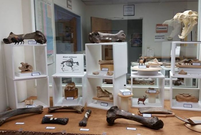 Math/Science Nucleus - camps in Fremont, CA