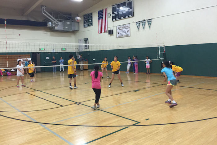 Phoenix Volleyball School - camps in Santa Clara, CA