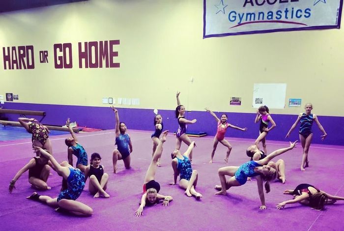 Accel Gymnastics - camps