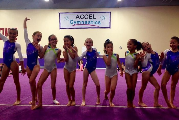 Accel Gymnastics - camps