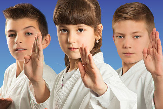 Mykicks Tae Kwon Do - camps in Burlingame, CA