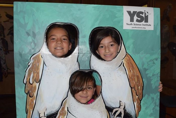 Youth Science Institute (YSI) - camps and classes in Los Gatos, San Jose