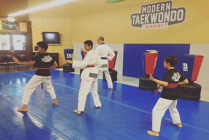 Modern Taekwondo Academy - Kids activities in Los Gatos, CA